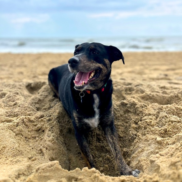 Meet your Posher, Andrea - Picture 1 of 4